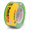 Paint Pro 48mm Tape